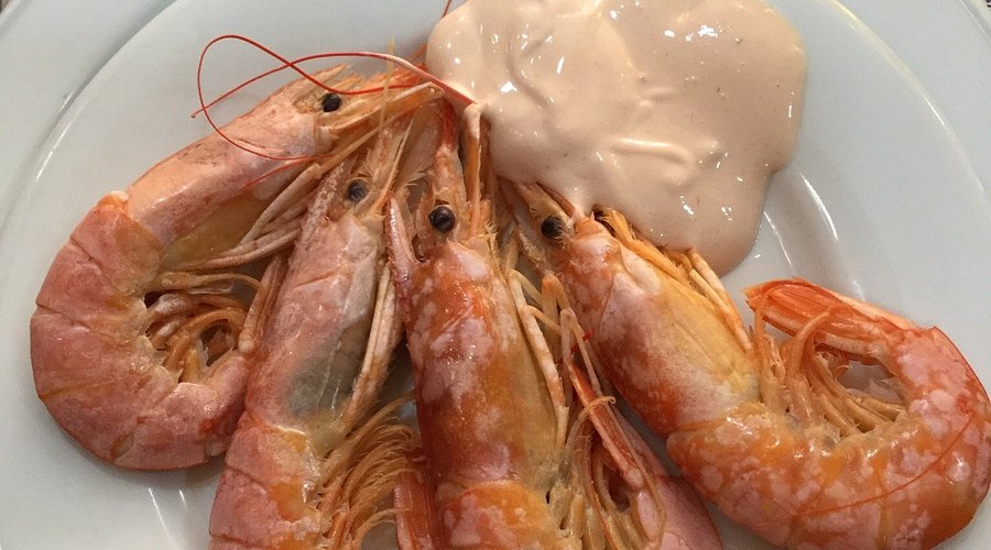🍲 La Magia de Comer Como en Casa